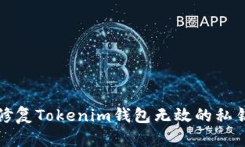 如何修复Tokenim钱包无效的私钥问题