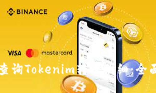 如何查询Tokenim转账明细：全面指南