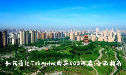 如何通过Tokenim购买EOS内存：全面指南