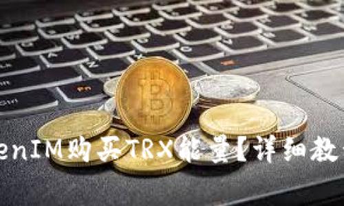 如何通过TokenIM购买TRX能量？详细教程与注意事项