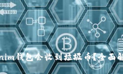 : 为什么Tokenim钱包会收到垃圾币？全面解析与解决方案