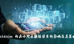 Tokenim 的大小对区块链项目