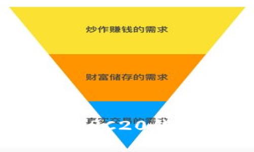如何下载和管理ERC20钱包地址：详细指南