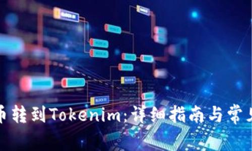 如何将货币转到Tokenim：详细指南与常见问题解答