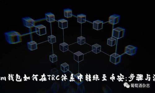  Tokenim钱包如何在TRC体系中转账至币安：步骤与注意事项