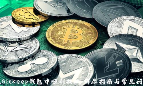 
如何在BitKeep钱包中顺利提现：详尽指南与常见问题解答