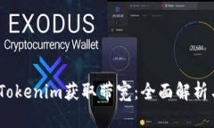 :如何通过Tokenim获取带宽：全面解析与实用指南