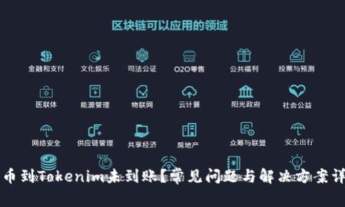 转币到Tokenim未到账？常见问题与解决方案详解