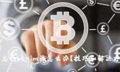 如果遗忘tokenim该怎么办？技巧和解决方案解析